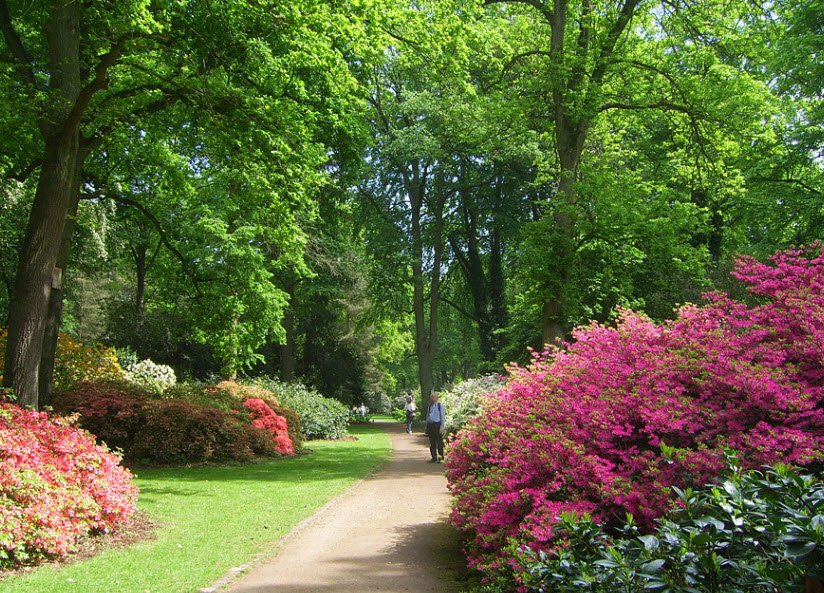 Rhododendron-Park Bremen, Germany